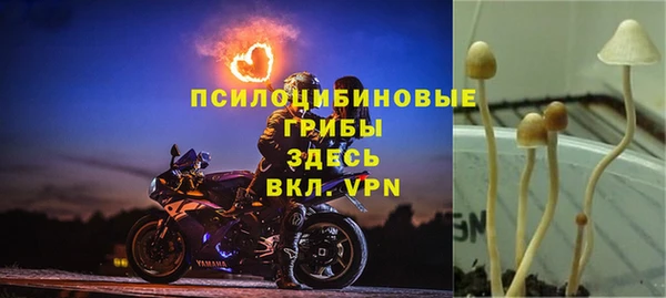 ALPHA PVP Краснослободск