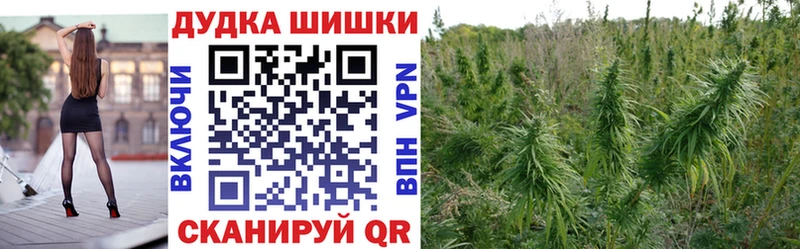 Купить закладки  Бузулук  Бошки Шишки AK-47 